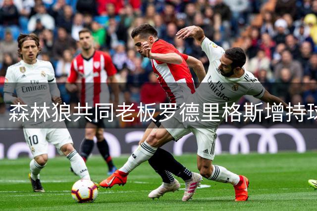 森林狼共同老板罗德里格斯增持球队股份
